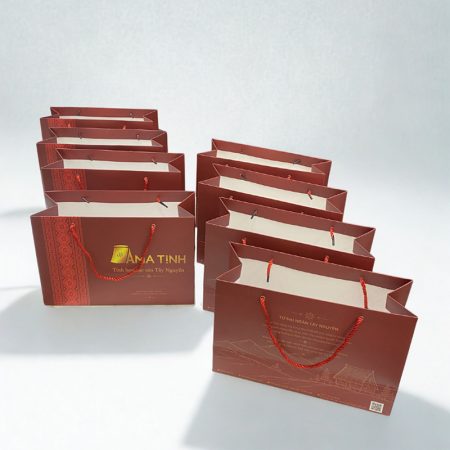 túi giấy in logo được ứng dụng rộng rãi trong nhiều lĩnh vực