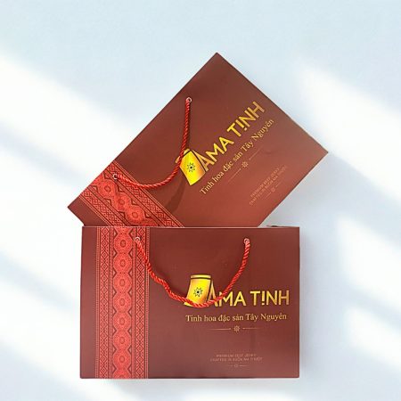 Túi Giấy In Logo – Giải Pháp Bao Bì Chuyên Nghiệp Giúp Nâng Tầm Thương Hiệu